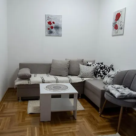 Sanja Apartment Pancevo